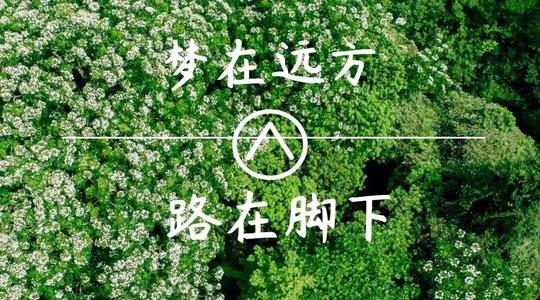 上?？婆d儀器